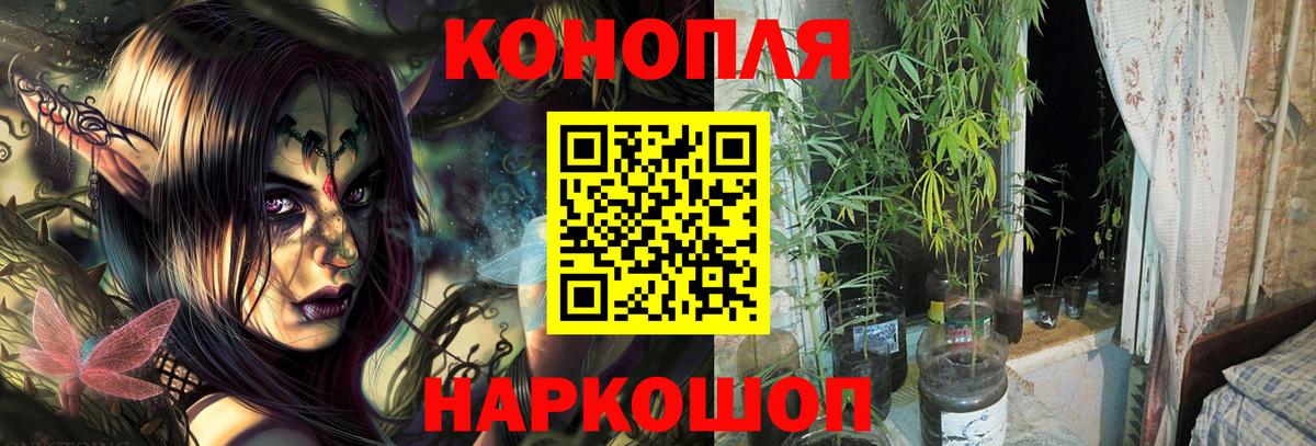 Бошки марихуана Amnesia  Вход с VPN  Нягань  Канабис AK-47  Марихуана гибрид 